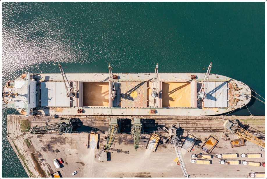 Ukrajina obustavila novi žitni koridor na Crnom moru: 'Postoji prijetnja od ruskih zrakoplova'