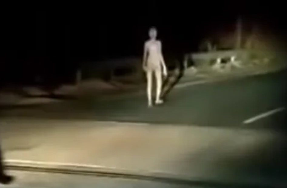 Zabezeknuti motoristi u mrklome mraku presreli stvorenje nalik izvanzemaljcu