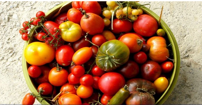 Borcima za sjeme počele dolaziti inspekcije