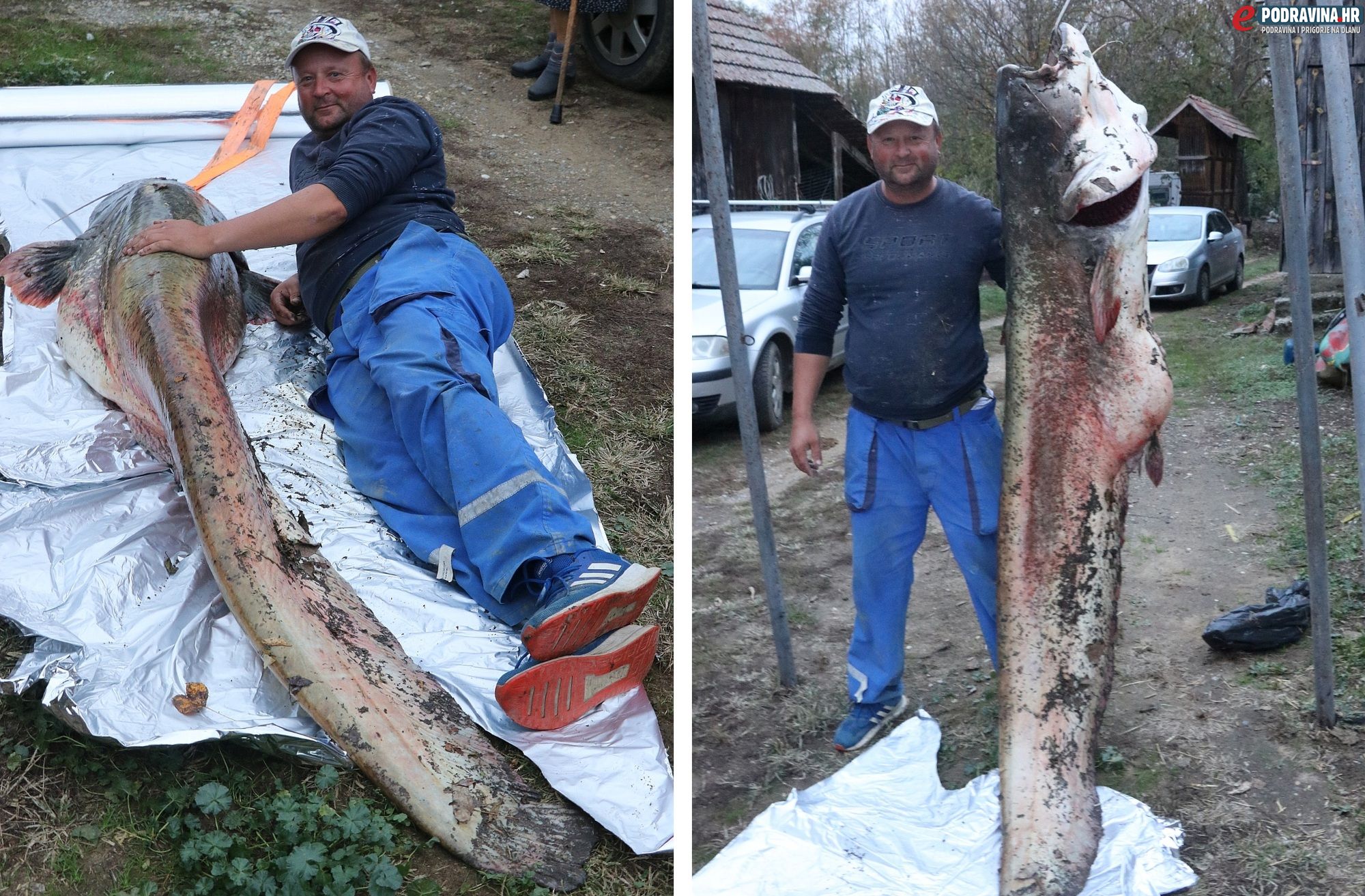 ULOV ŽIVOTA  Dalibor Škofić ulovio pravu grdosiju, som vagnuo 80 kilograma, dug 228 centimetara: Borba s njim je trajala dva i pol sata