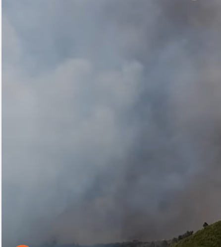 Požar na području Smokovića namjerno potpaljen: Uhićena jedna osoba