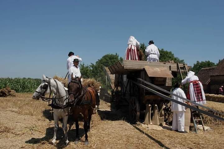 Pitali smo Slavonce kako žive i kolika im je plaća: “Ne bi bilo lijepo za televiziju”