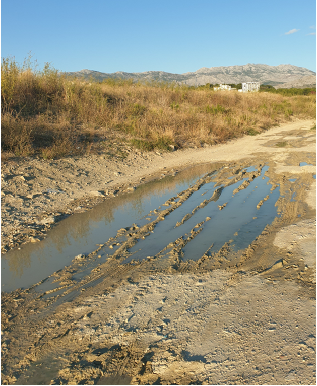Nesebičnost kao način brige o zajednici: Sharing is Caring