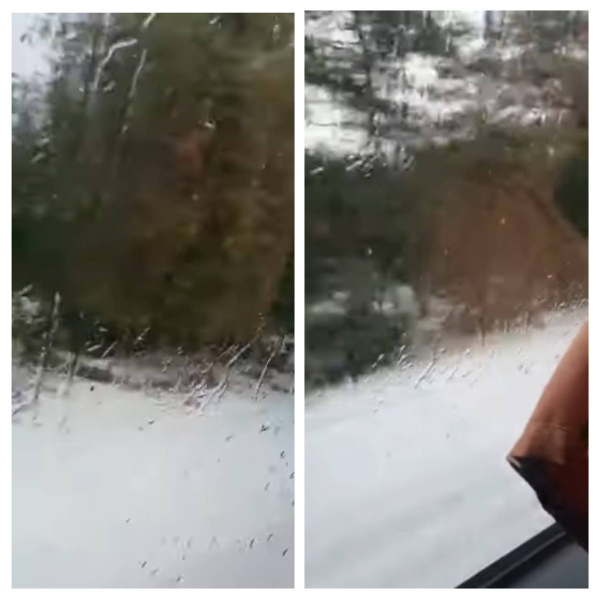 Na Braču je pao snijeg