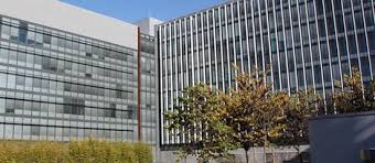 SOA izdala izvješće koje ledi krv u žilama: ‘Nabavljaju oružje i obučavaju se’