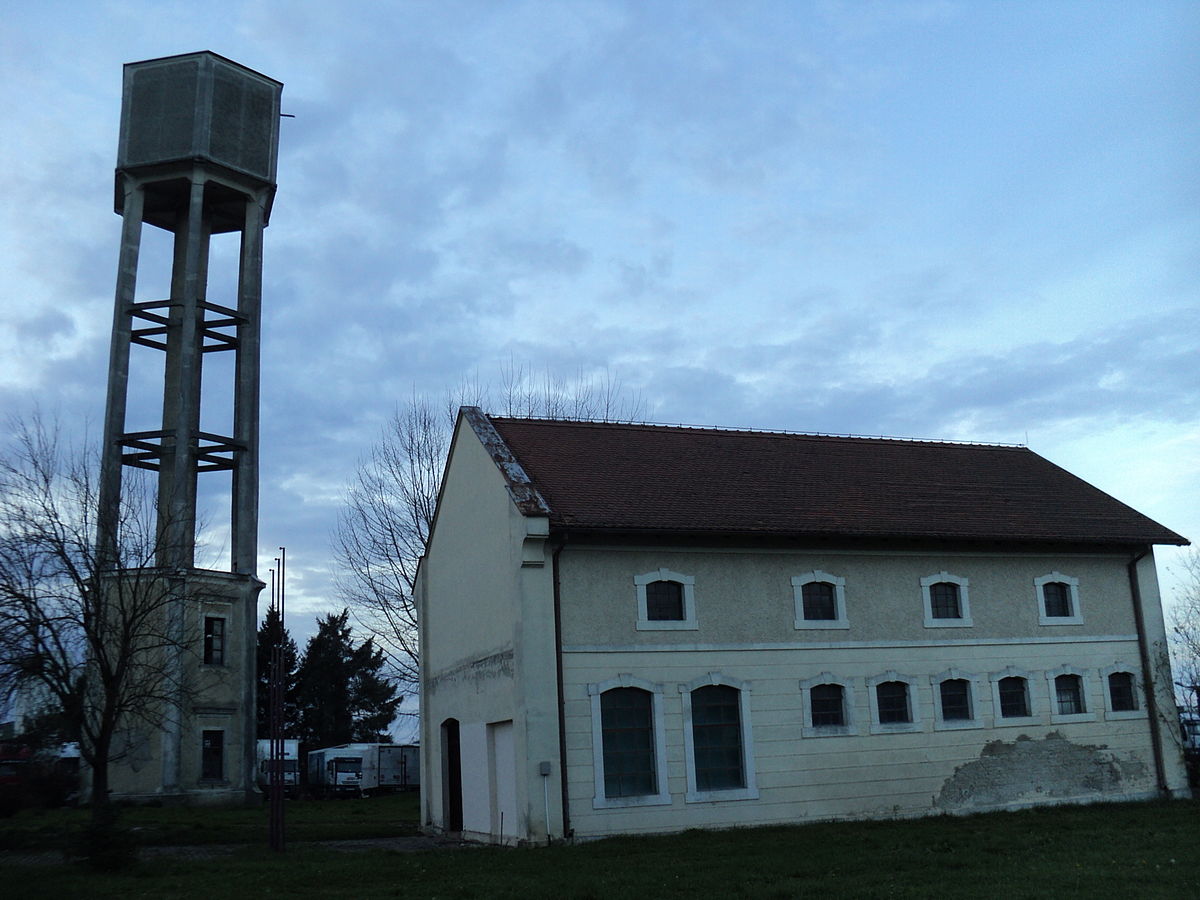 Mladen Pavković: Je li na Danici doista ubijeno deset tisuća ljudi?