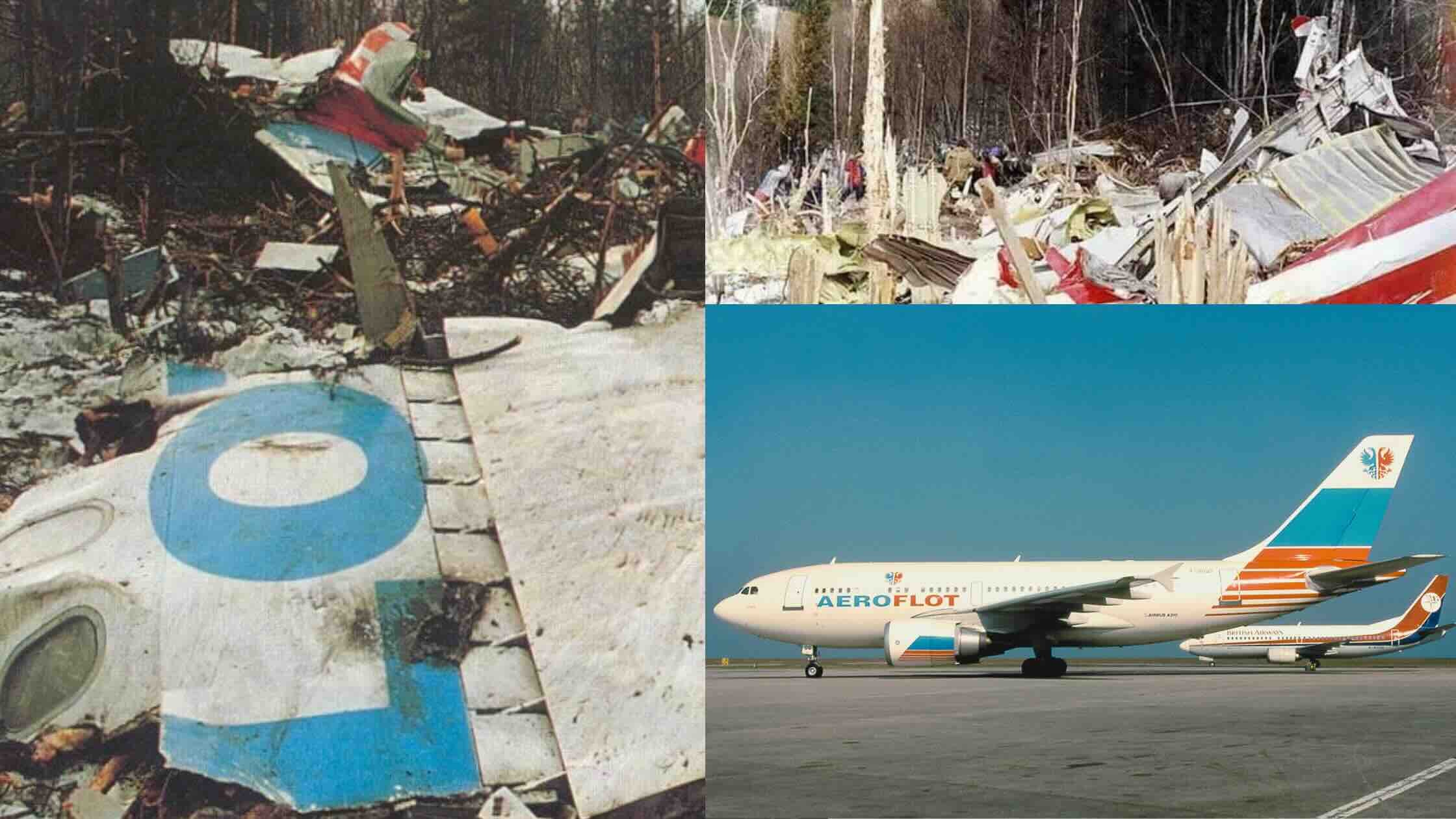 Jedna od najbizarnijih nesreća u povijesti zrakoplovstva dogodila se 23. ožujka 1994. godine - sin kopilota srušio Airbus A310