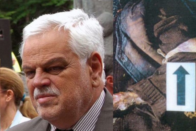 Stanimirović, povezan s najtežim ratnim zločinima 1991., član je vladajućeg SDSS-a