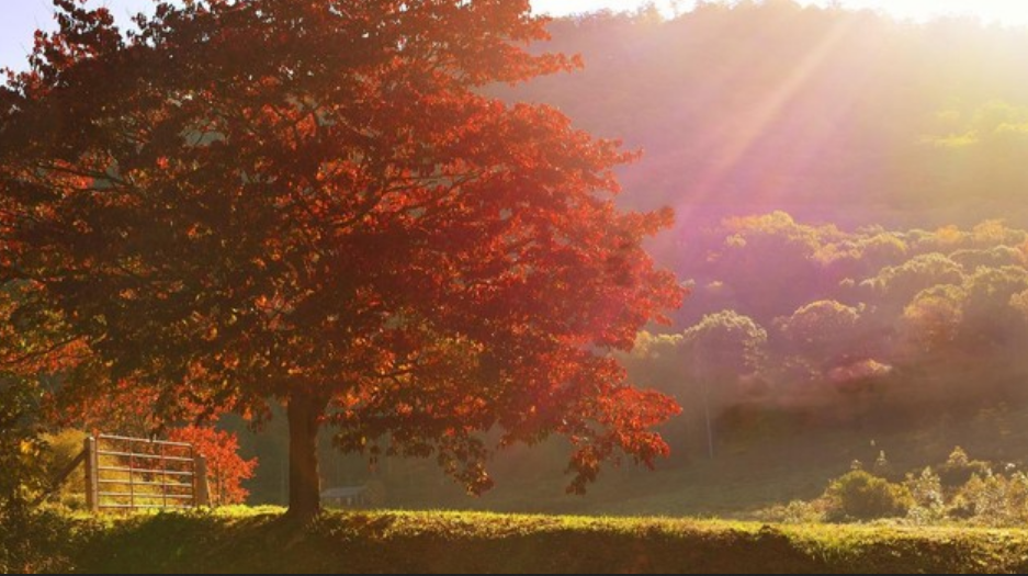 Nedjelja sunčana i topla, ali pred nama promjenjiv i svjež početak tjedna
