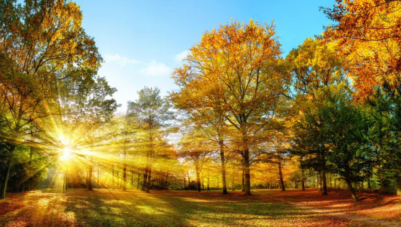 Pretežno sunčano, ali vjetrovito: DHMZ izdao žuto upozorenje za Jadran zbog jake bure