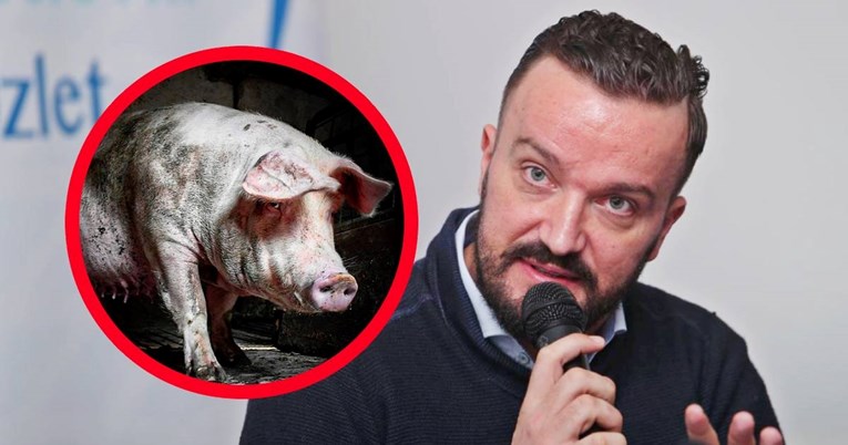 EU tužitelji uhitili 9 ljudi, među njima Miljenko Pivac i bivši zamjenik ministra Alen  Kajmović. Na svinjama pokrali milijune