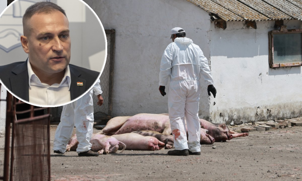 Ministar Vlajčić najavio: Do 1. studenog treba odstrijeliti sve divlje svinje