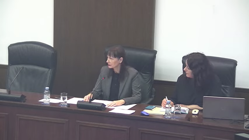 Burno na saborskom odboru: ''Dok Hrvati zbog eura odlaze u šoping u druge zemlje, kolege iz Možemo odlaze u šoping za bebe u Zambiju''