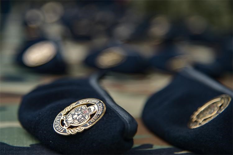 Čestitka ministra Medveda Tigrovima