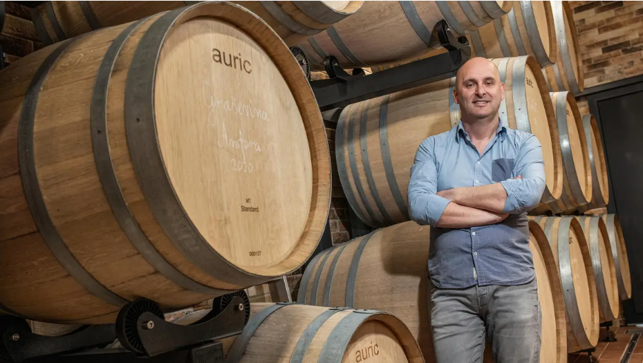 Tolušić na Fejsu o istragama: 'Evo što ja znam o svemu tome'