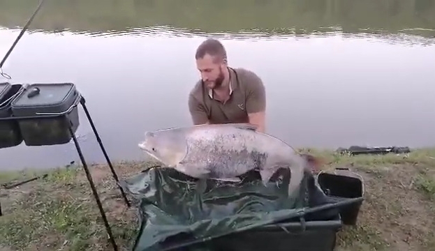 VIDEO Ribolovci ŠRD “Lendava” iz Špišić Bukovice ulovili tolstolobika od gotovo 30 kilograma