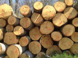 STRAHOTA KOD SISKA: Od ozljeda umrlo dijete (9), ni u bolnici mu nije bilo spasa