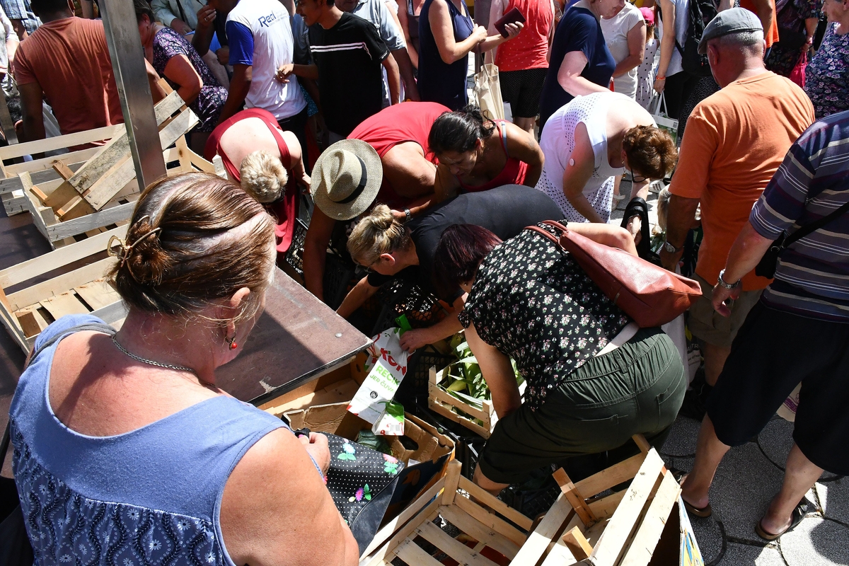 UVOZNI LOBI  Domaće voće i povrće završava u smeću, a uvoz hrane porastao 300%. U čemu je problem?