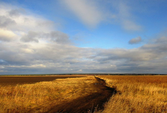 UKRAJINA ZATEČENA POTEZOM DVIJU ZEMALJA! Zabranili uvoz ukrajinske hrane i žitarica: ‘To neće ubrzati pozitivno rješavanje situacije’