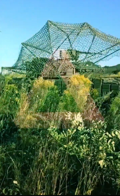 Izvanredno stanje u regiji Kursk: Zračna uzbuna i ograničenje kretanja usred ukrajinskog napada