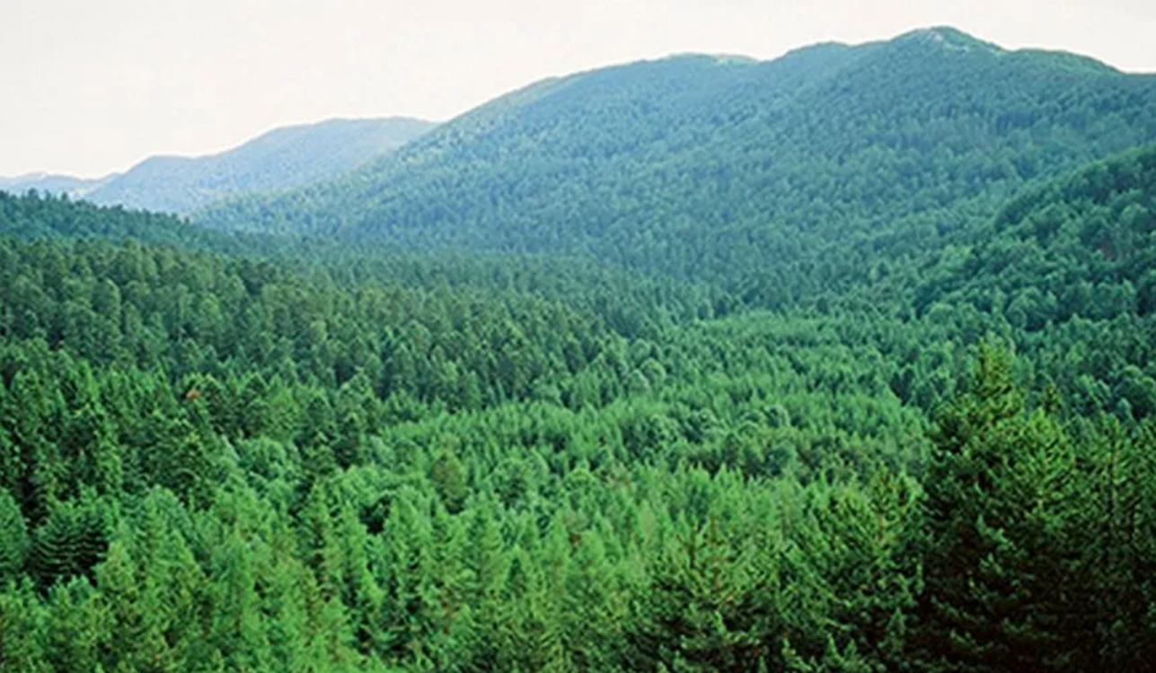 Državljanin BiH ilegalno preko granice pa u lov