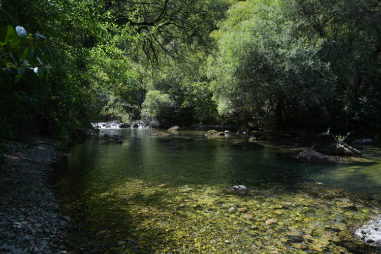 Državni inspektorat zabranio gradnju hidroelektrane na Uni: Štetna je za prirodu!