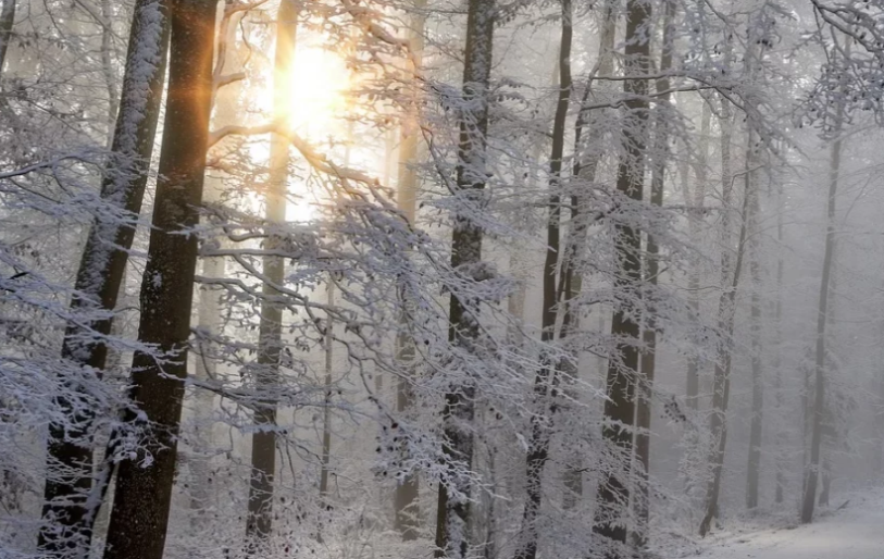 DANAS NOVI SNJEŽNI POKRIVAČ! DHMZ najavio promjenu vremena, zima je na vratima kako se približava Katarinje