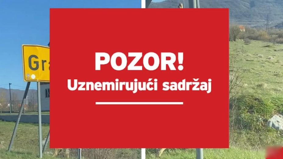 Netko objesio vuka na tablu u Gračacu: 'Kad sam ga vidjela, mislila sam da mi se priviđa'
