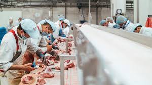 STIGAO NALOG EPPO-A  Policija banula na vrata Braće Pivac i Vajde: Evo na što sumnjaju, u pitanju su milijuni