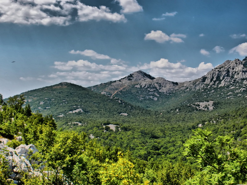 ŽENE, MAJKE, RATNICE - Anka Šarić: Magla podno Velebita