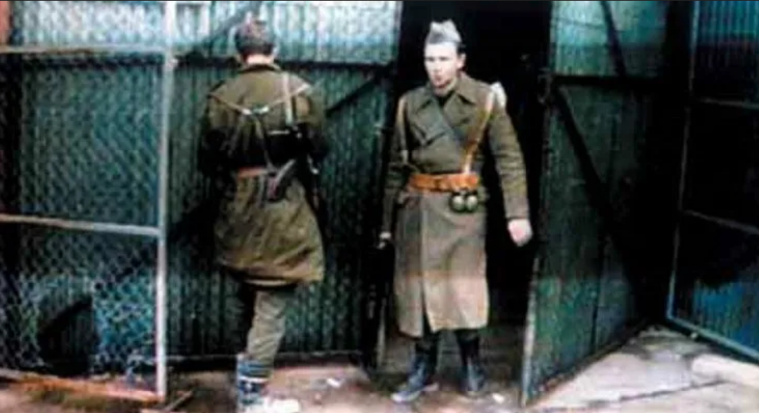 Mladen Pavković:  Dok Srbi puštaju ratne zločince, Hrvatska šuti. Zašto?