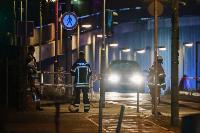 Njemačka: Ubio ženu, troje djece i sebe, nakon što je poslodavac saznao da je covid potvrda lažirana