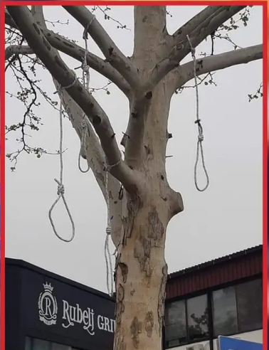 OGLASIO SE AUTOR VJEŠALA IZ DUBRAVE ‘Ja sam postavio tu užad! I to nije bila nikakva politička poruka’