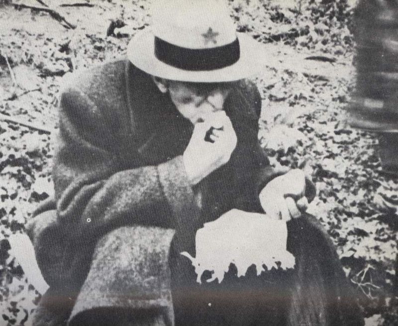 Mladen Pavković: Nazor nije zaslužio da nagrada i  najviše ulica i škola nosi njegovo ime!