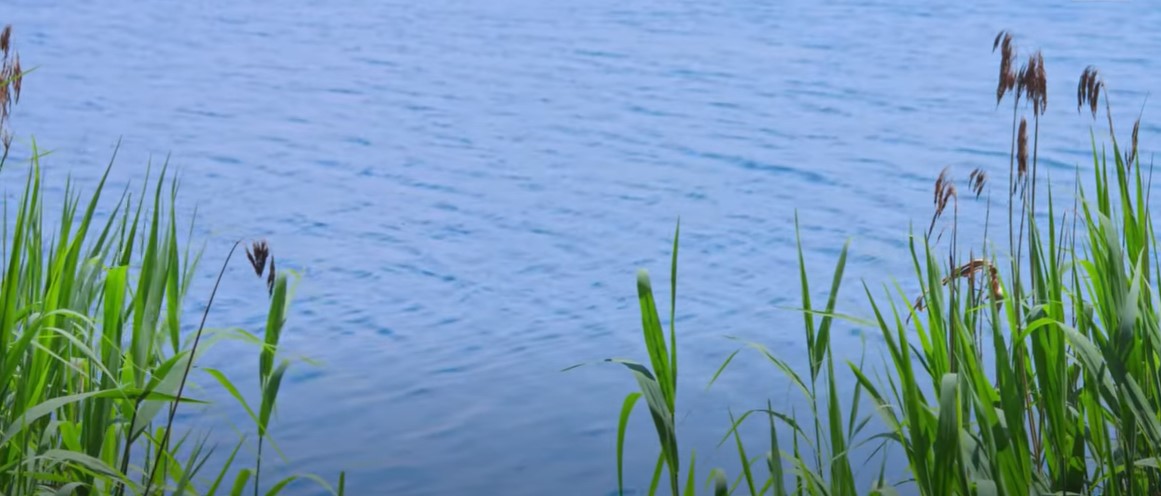 U Istri od danas na snazi restrikcija vode