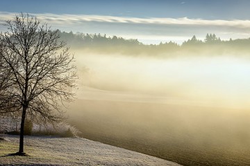 Stabilnije vrijeme uz hladnoću: Magla i niske temperature obilježavaju početak tjedna