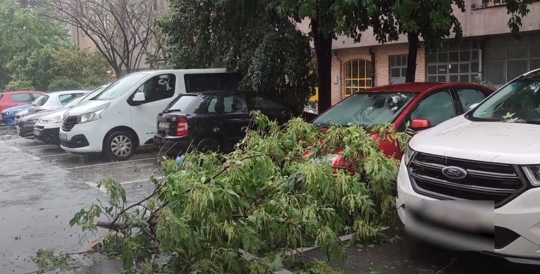 U nevremenu u Zagrebu poginula dva muškarca, na njih su pala stabla: "Imali su višestruke ozljede glave"