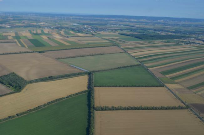 Jutro zemlje prodaje se u Đakovštini i za 8000 eura
