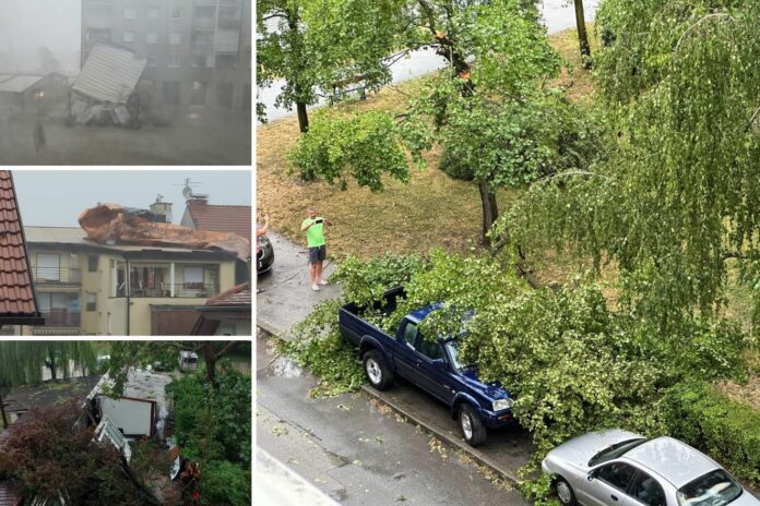 Strašno nevrijeme poharalo Zagreb: Stabla padala na automobile, vjetar rušio sve pred sobom