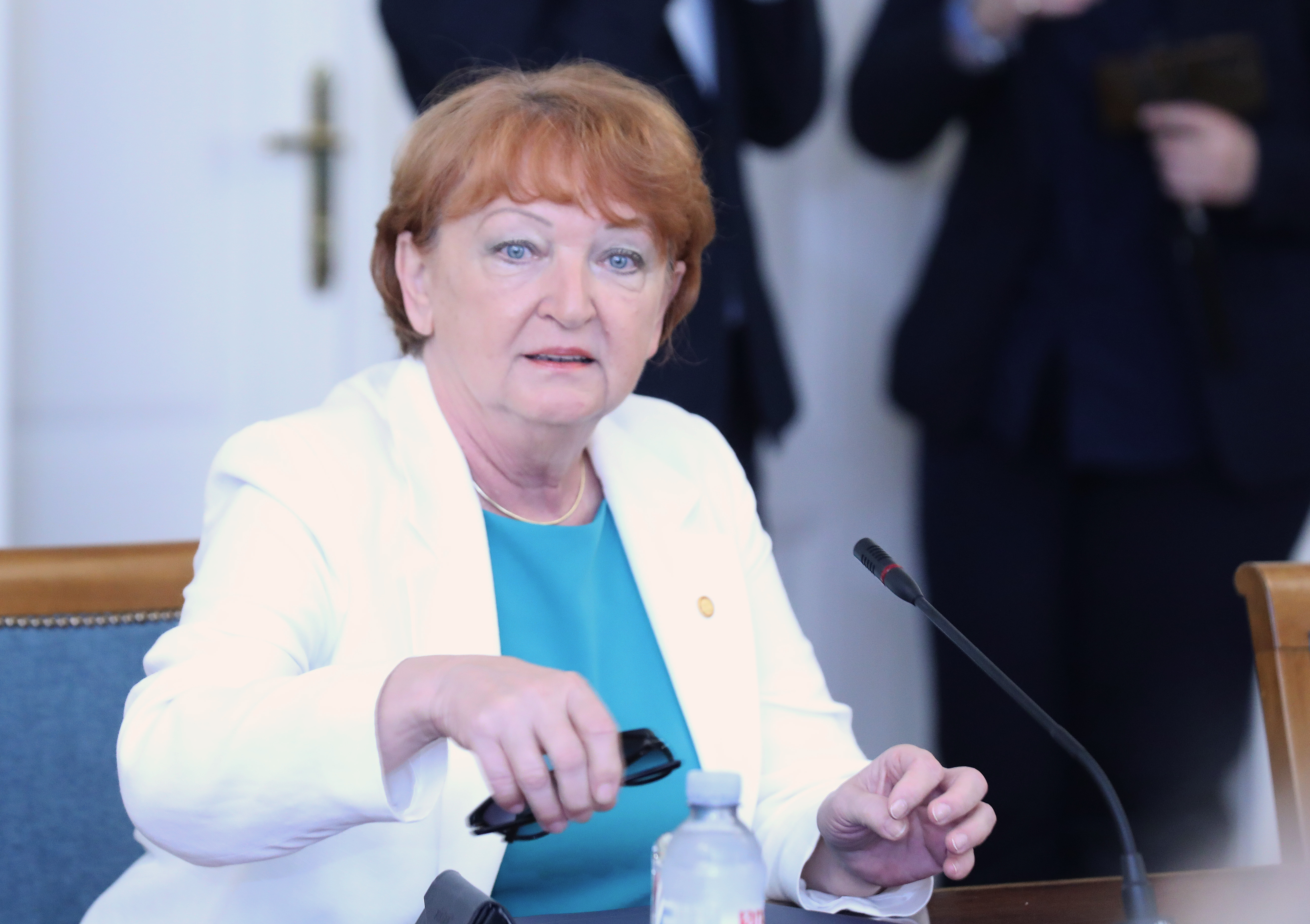 Hrvoj Šipek: Nisam izložena pritisku predsjednika vlade