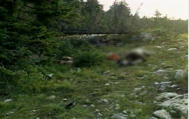 ZLOČIN KRAJ DOLJANA KRVAVI PIR MUDŽAHEDINA NA ‘STIPIĆA LIVADI’: Uglavnom hladnim oružjem ubili 39 Hrvata