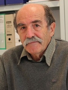 Još jednom protiv Hrvatske: Udruge prozivaju branitelje, a prešućuju crvenu zvijezdu