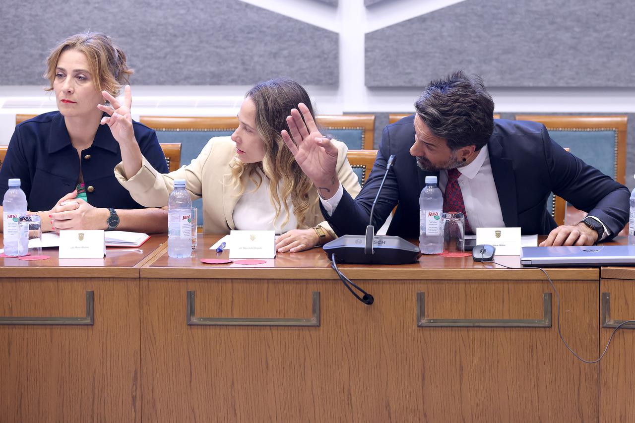Zaiskrilo na sjednici o toksičnom otpadu u Lici, pljušte uvrede i opomene: 'Ti si bolestan čovjek i to teško'