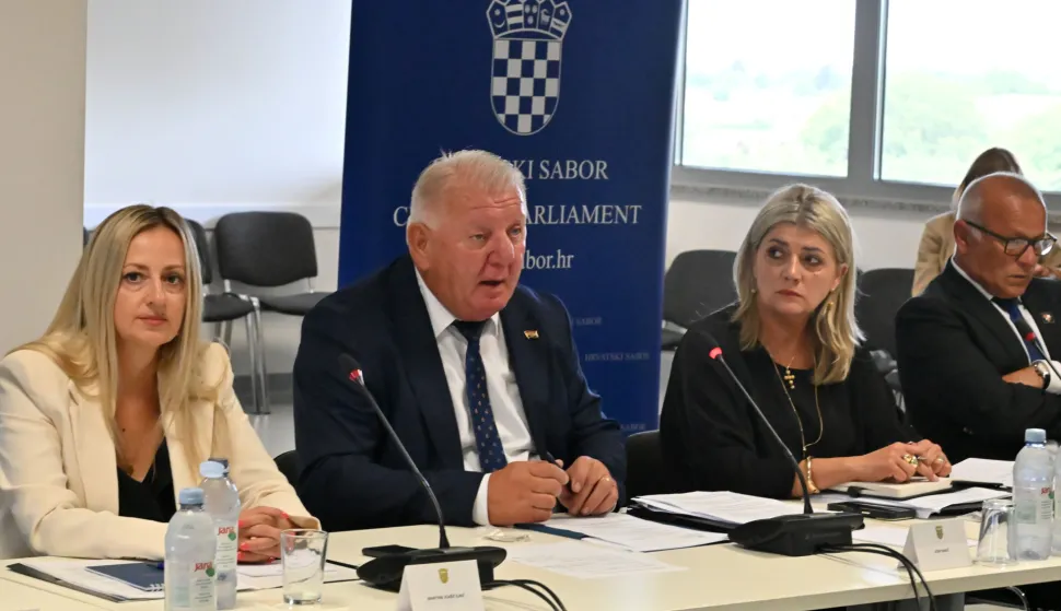 U Vukovaru održana tematska sjednica o potrazi za nestalima iz Domovinskog rata