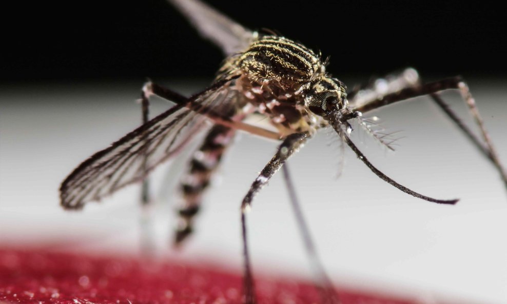 Kreću već od utorka Propisane protuepidemijske mjere u Zagrebu: Evo što to točno znači i na koga se odnosi
