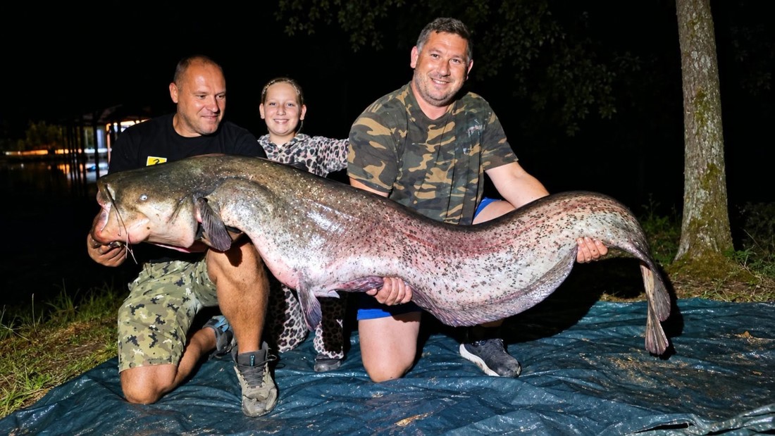 Kod Dugog Sela ulovili soma od 225 cm. Nakon fotografiranja vratili ga u jezero