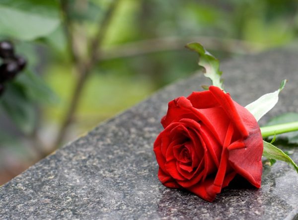 Cijena lažne pomirbe: Jesmo li u ime diplomacije žrtvovali istinu o Domovinskom ratu?