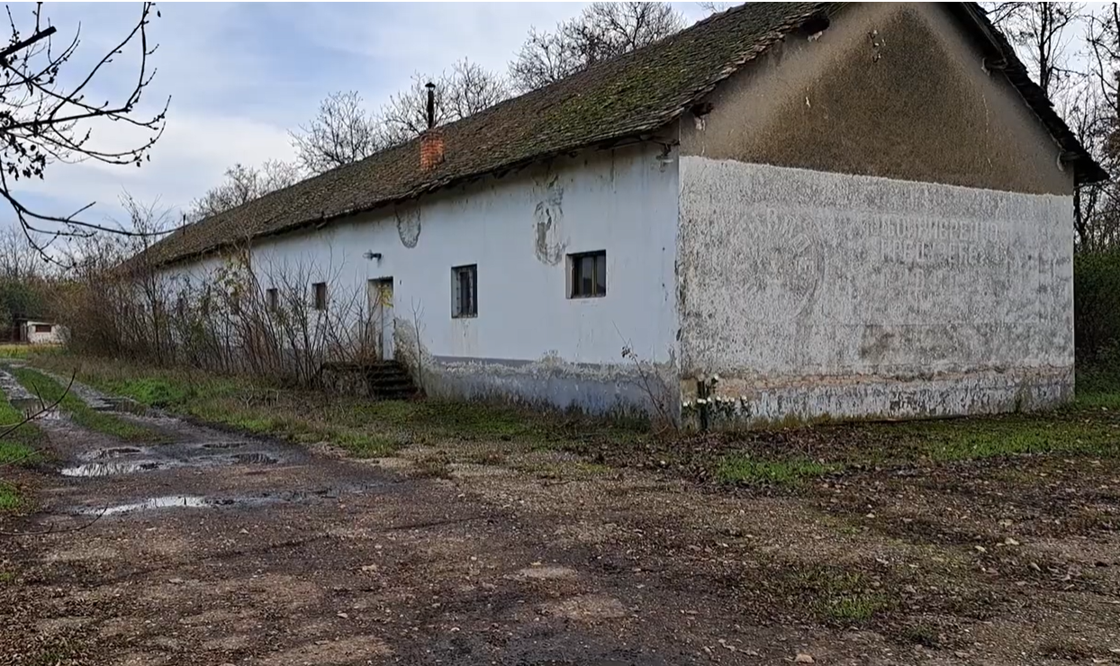 Srpski logori u Hrvatskoj (9): Stajićevo – JNA je stočne staje pretvorila u logor za zarobljene Vukovarce