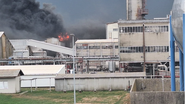 Izbio veliki požar u Petrokemiji